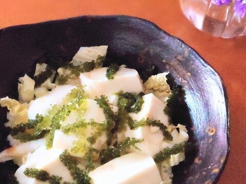 海ぶどうonᕷジーマーミ豆腐と白菜の温サラダꕤ୭*